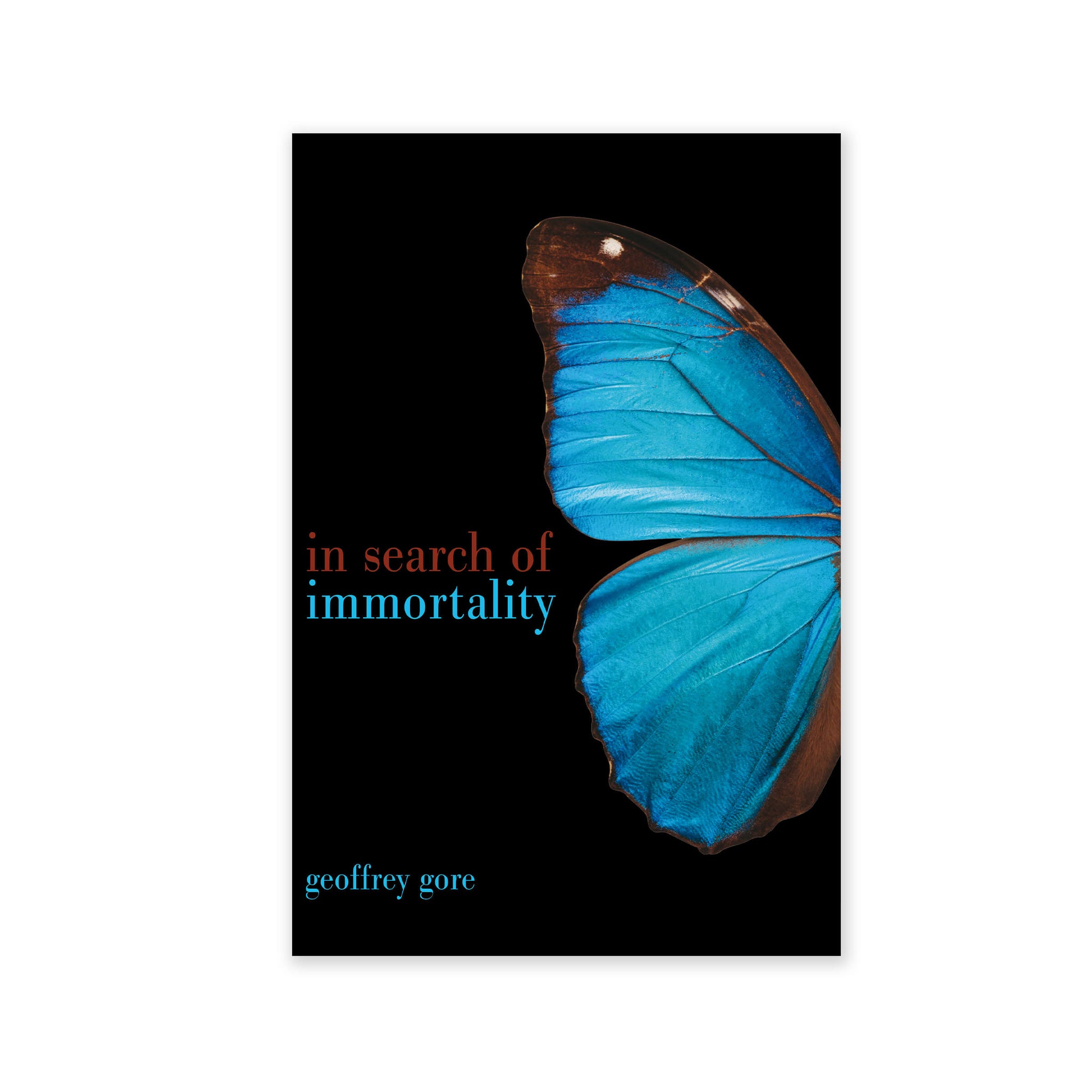 In Search of Immortality - Journey of Life from a Spiritual Perspective - (e-book £7.50)