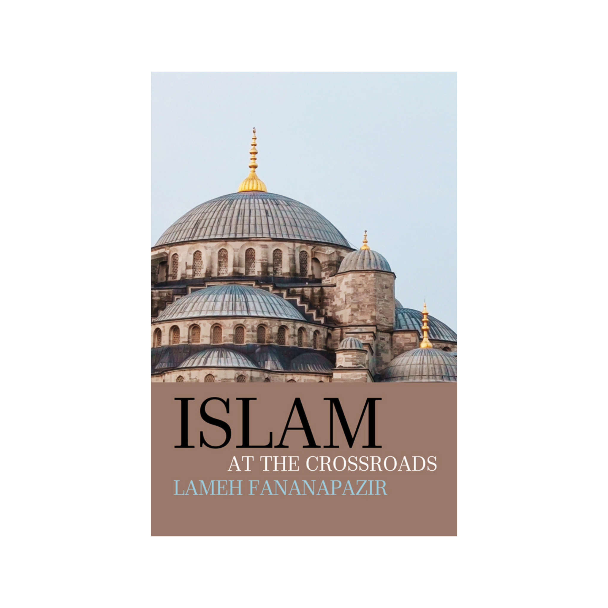 Islam at the Crossroads